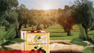 Zeytin satışları Kahta'da ormana dönüşecek - Haberois Zeytin satışları Kahta'da ormana dönüşecek