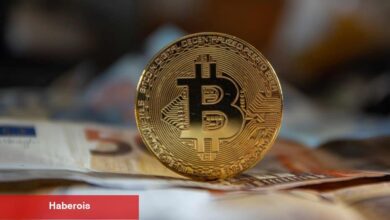 2 Kripto Efsanesinden Bitcoin ve Altcoin Tavsiyeleri! - Haberois 2 Kripto Efsanesinden Bitcoin ve Altcoin Tavsiyeleri!