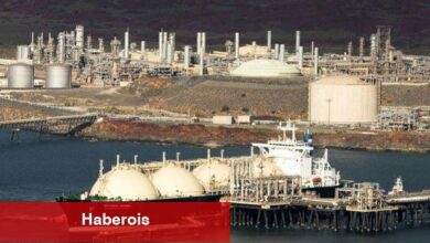 AB, Rusya'dan rekor ölçüde LNG ithal ediyor