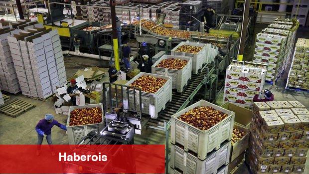 ABD'de toptan eşya stokları Haziran'da azaldı - Haberois ABD'de toptan eşya stokları Haziran'da azaldı