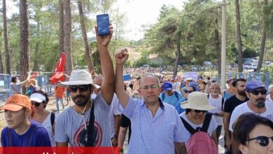 Adil Türkiye Partisi’nden doğa katliamına tepki - Haberois Adil Türkiye Partisi’nden doğa katliamına tepki
