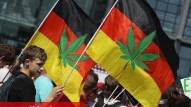 Almanya'da esrara 'denetimli serbestlik' testi - Haberois Almanya'da esrara 'denetimli serbestlik' testi