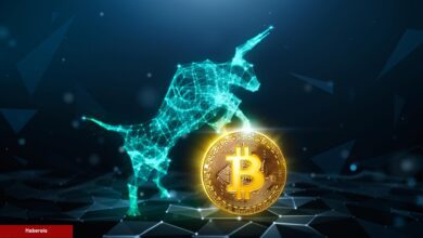 Analistler Açıkladı: Uzun Vadeli Yatırımcılar Bitcoin Biriktiriyor!