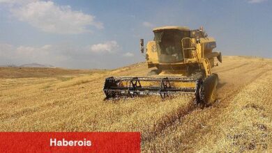 Antalya Büyükşehir Belediyesi kendi arazisinde buğday yetiştirdi - Haberois Antalya Büyükşehir Belediyesi kendi arazisinde buğday yetiştirdi
