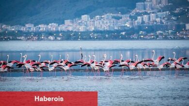Arıtma lideri İzmir'in denizi de "mükemmel" çıktı