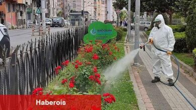 Bağcılar Belediyesi Bitlerle Mücadelesini Sürdürüyor - Haberois Bağcılar Belediyesi Bitlerle Mücadelesini Sürdürüyor