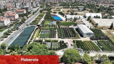 Başkan Altay Konya Ağaç A.Ş Satış Merkezi'nde İncelemelerde Bulundu - Haberois Başkan Altay Konya Ağaç A.Ş Satış Merkezi'nde İncelemelerde Bulundu