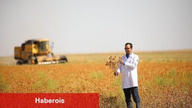 Başkan Altay: "Susuz Tarım Modeliyle Ürettiğimiz Aspirin Hasadını Yaptık"