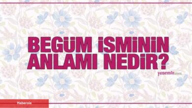 Begüm isminin manası nedir? Begüm ismi Kuran'da geçiyor mu? Begüm isminin özellikleri - Haberois Begüm isminin manası nedir? Begüm ismi Kuran'da geçiyor mu? Begüm isminin özellikleri