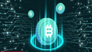 Binance ve Bitfinex Değil! Bu Platform Bitcoin Sahipliğinde Dikkat Çekiyor