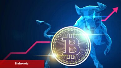 Bloomberg ETF Uzmanı Sevindirdi: Bitcoin İçin ‘Bullish’!