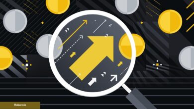 Boğa Sinyali! Bu 2 Altcoin Seçiminizi Zorlayacak