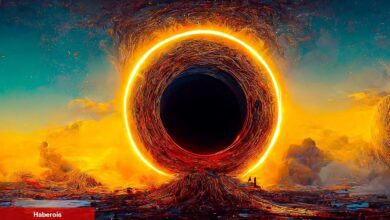 Bu Altcoin Burn Programını Duyurdu: Fırladı!