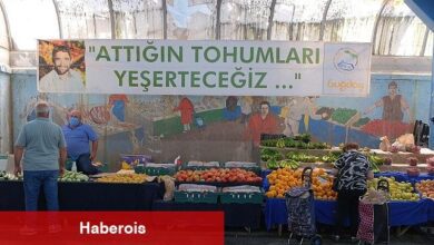 Buğday Derneği: Kayseri'de Sağlıklı Gıdanın Adresi: Kocasinan %100 Ekolojik Pazar - Haberois Buğday Derneği: Kayseri'de Sağlıklı Gıdanın Adresi: Kocasinan %100 Ekolojik Pazar