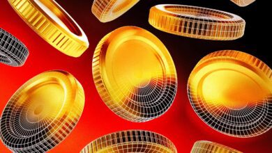 Bugün, Bu 29 Altcoin İçin Kritik: İşte Olacaklar!