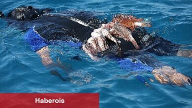 Büyükşehir Aslan Balığı Avlama Yarışması Düzenledi - Haberois Büyükşehir Aslan Balığı Avlama Yarışması Düzenledi