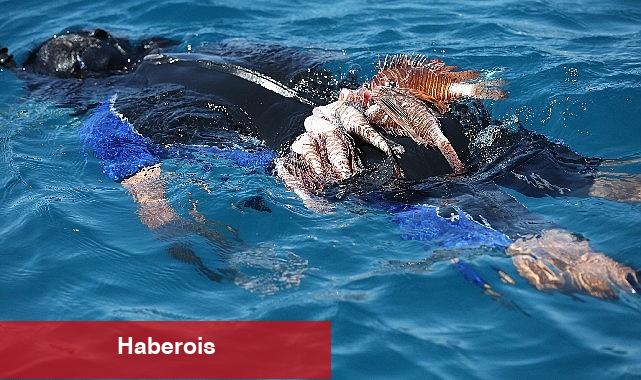 Büyükşehir Aslan Balığı Avlama Yarışması Düzenledi - Haberois Büyükşehir Aslan Balığı Avlama Yarışması Düzenledi