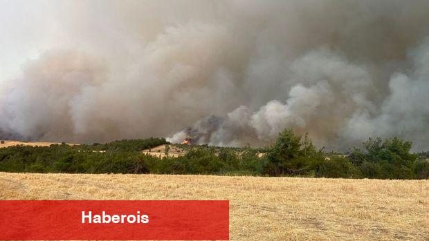 Çanakkale'de büyük orman yangını