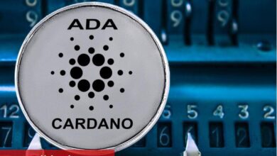 Cardano kurucusu, SEC’in kripto baskısıyla ilgili farklı bir iddia ortaya attı - Haberois Cardano kurucusu, SEC’in kripto baskısıyla ilgili farklı bir iddia ortaya attı