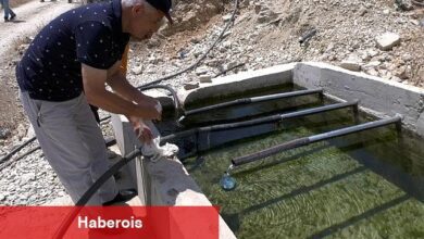 Celil ve Üçoluk yaylaları suya kavuşuyor - Haberois Celil ve Üçoluk yaylaları suya kavuşuyor