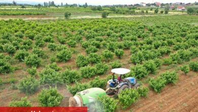 Çiftçiye toprak analiz desteği - Haberois Çiftçiye toprak analiz desteği