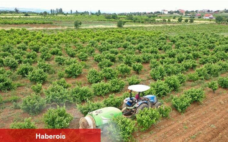 Çiftçiye toprak analiz desteği - Haberois Çiftçiye toprak analiz desteği