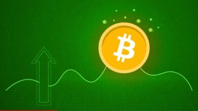 CNBC: Beklenen Onay Bu Tarihte Çıkacak! Bitcoin İçin Boğa Sinyali