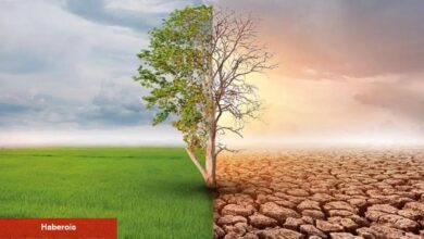 Çöküş Kapıda! Ünlü Analist Bu Altcoin İçin Uyardı