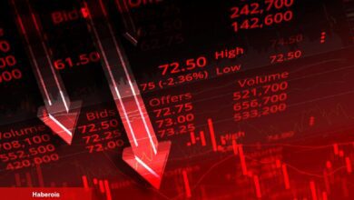 Çöküşleri Bilen Efsane: Hazırlanın, Bu Altcoin Çakılacak!