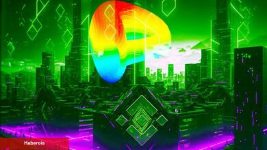 CRV Satan Binance Balinaları Bu 2 Altcoin’i Topluyor! - Haberois CRV Satan Binance Balinaları Bu 2 Altcoin’i Topluyor!