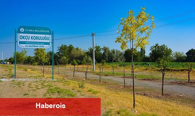 Çumra'nın Yeşil Alanları Nefes Oldu
