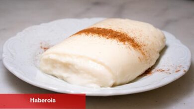 Damla Sakızlı Tavuk Göğsü Tanımı - Haberois Damla Sakızlı Tavuk Göğsü Tanımı