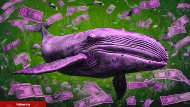 Dikkat: Kripto Balinaları Gizlice Bu 4 Altcoin’den Topluyor!