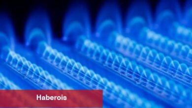 Doğalgaz ihracatında uygulanacak yöntem ve temeller belirlendi - Haberois Doğalgaz ihracatında uygulanacak yöntem ve temeller belirlendi