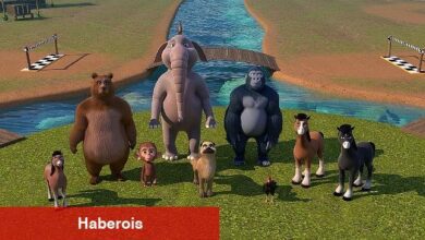 Doru Macera Adası'nda parkur mücadelesi - Haberois Doru Macera Adası'nda parkur mücadelesi