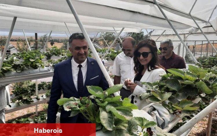 Eskişehir'in kırsal kalkınmasına BEBKA desteği - Haberois Eskişehir'in kırsal kalkınmasına BEBKA desteği