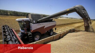 Fidan ile Rus mevkidaşı Lavrov tahıl konusunu ele alacak - Haberois Fidan ile Rus mevkidaşı Lavrov tahıl konusunu ele alacak