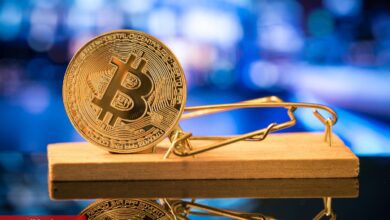 “Geçici Bir Heves!” Bitcoin Fiyatındaki Yükseliş Bir Tuzak mı? - Haberois “Geçici Bir Heves!” Bitcoin Fiyatındaki Yükseliş Bir Tuzak mı?