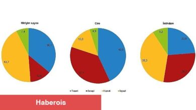 Girişim sayısı ve istihdamda en yüksek payı hizmet sektörü oluşturdu