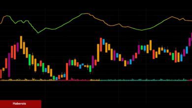 Grayscale Zaferi En Çok XRP ve Bu 6 Altcoin’e Yaradı!