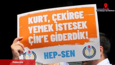 HEP-SEN Uyardı : “Soğuk ve Tuzsuz Yemekler, Kanserojen Tabaklarla Servis Ediliyor” - Haberois HEP-SEN Uyardı : “Soğuk ve Tuzsuz Yemekler, Kanserojen Tabaklarla Servis Ediliyor”