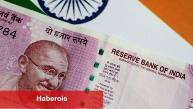 Hindistan Merkez Bankası faizi sabit tuttu - Haberois Hindistan Merkez Bankası faizi sabit tuttu