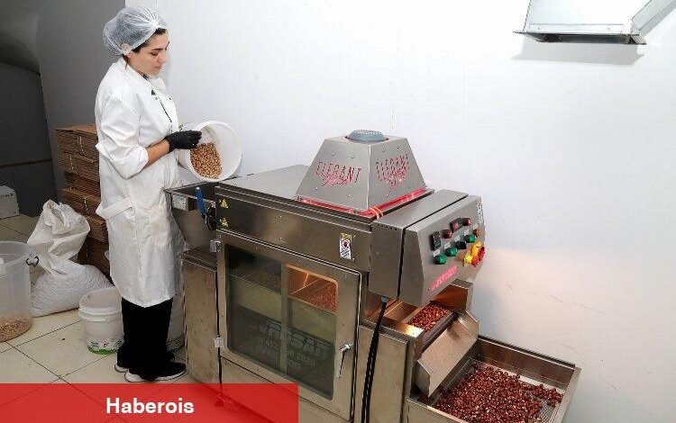 Kahve ile fındığı birleştirdi, fındık kreması üretti - Haberois Kahve ile fındığı birleştirdi, fındık kreması üretti