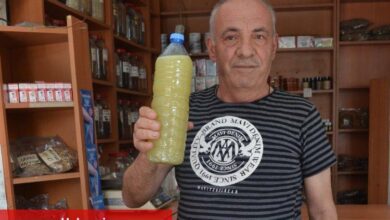 Kanser tedavisine bitkisel takviye - Haberois Kanser tedavisine bitkisel takviye