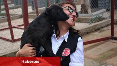 Karşıyaka Belediyesi, can dostlara huzurlu bir hayat sunuyor