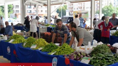 Kayseri Kocasinan'da ekolojik pazar açılıyor - Haberois Kayseri Kocasinan'da ekolojik pazar açılıyor