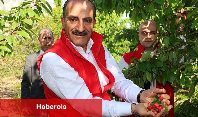 Kirazda rekor yılı: 205 milyon dolara ulaştı