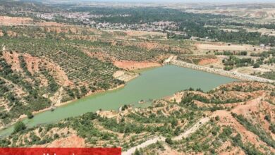 Konya'da tarımsal verime yeni hamle - Haberois Konya'da tarımsal verime yeni hamle