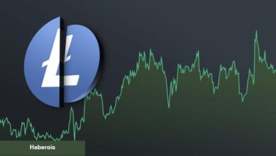 Litecoin 3. Halving Yapıyor ancak Fiyat Düşüyor! Pekala Neden? - Haberois Litecoin 3. Halving Yapıyor ancak Fiyat Düşüyor! Pekala Neden?