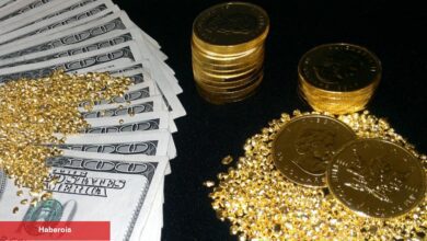 Longview Economics: Altın Almak İçin Yeni Bir Yükseliş Olayı Var!